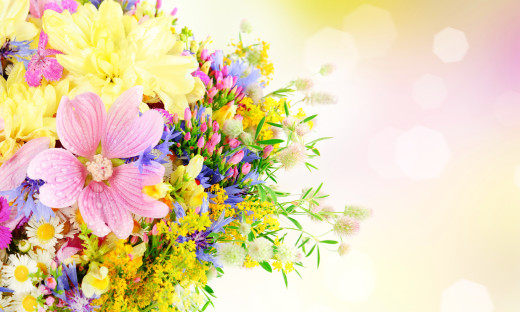 807435 (a): :4000x2394